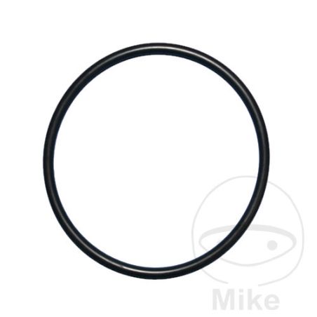 Schnurring 7 mm 2.35TS/TTS para Plataformas | Motos Camaral