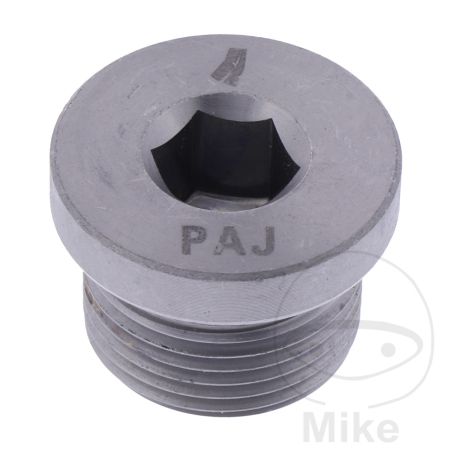 Tornillo de Purga TS HD Cilindro desde 2019 M22 | Motos Camaral