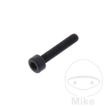 Tornillo M3X16 HLNT BEDIENHEBEL | Recambios Plataformas | Motos Camaral