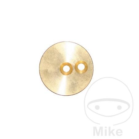 Scheibe para Placa de Soporte 43X4 Nussbaum | Motos Camaral