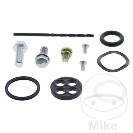 Kit Reparación Grifo de Gasolina AllBallsRacing | Motos Camaral