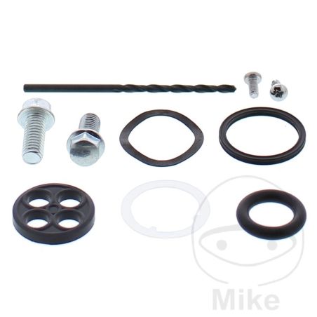 Kit Reparación Grifo de Gasolina AllBallsRacing | Motos Camaral