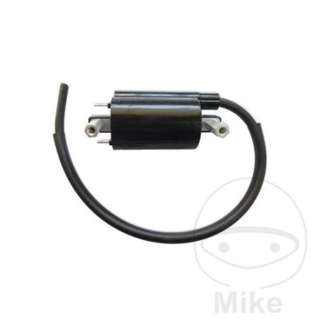 Bobina de Alta 7001643 | Recambios | Motos Camaral