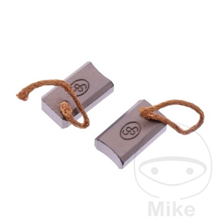Escobillas de Carbón OEM Alternador | Recambio Original | Motos Camaral