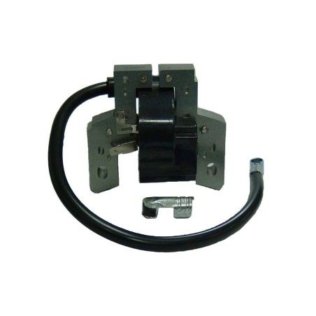 PIPA BUJIA AD BRIGGS- motoscamaralweb.com