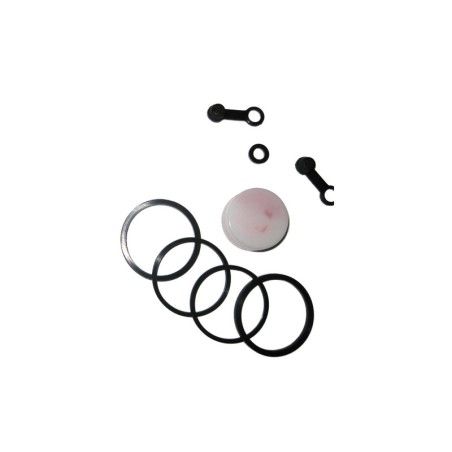 Kit de reparación pinza de freno trasera TECNIUM Suzuki GS-F - motoscamaralweb.com