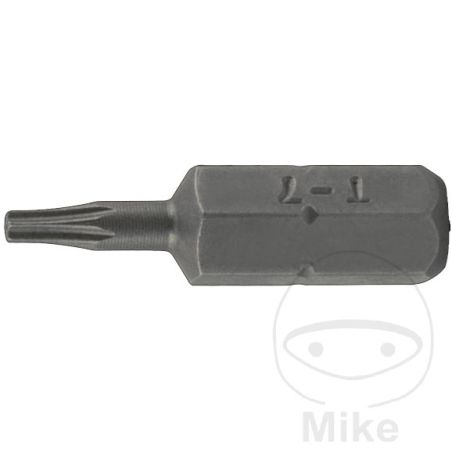 Punta Torx T20 con Agujero 25mm 1/4 | Motos Camaral