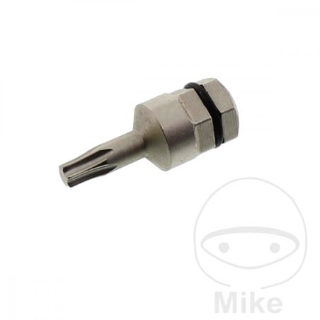 Punta Torx T15 5/16 8mm | Motos Camaral