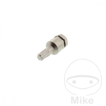 Punta Torx T25 5/16 8mm | Herramienta | Motos Camaral