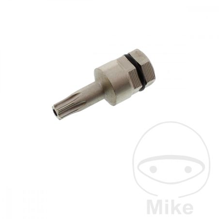 Punta Torx T20 con Agujero 5/16 8mm | Motos Camaral