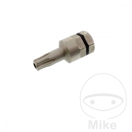 Punta Torx T25 con Agujero 8 mm | Motos Camaral