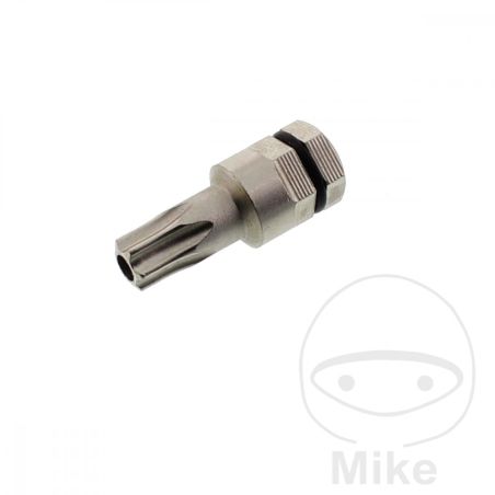 Punta Torx T30 con Agujero 5/16" | Motos Camaral