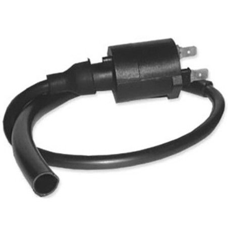 Bobina DZE 4018 TRX 400/450 Encendido elec. CDI - motoscamaralweb.com