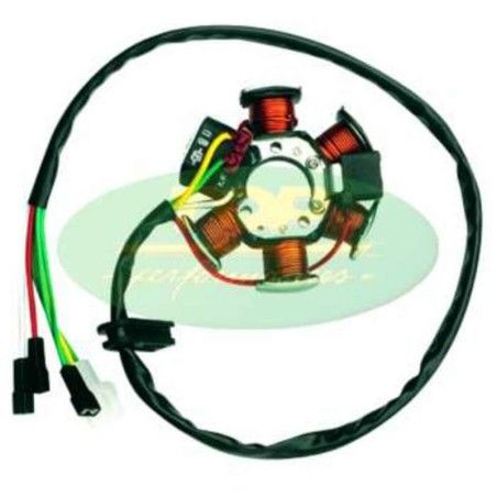 Estátor TOP PERFORMANCES - Motor Derbi - motoscamaralweb.com