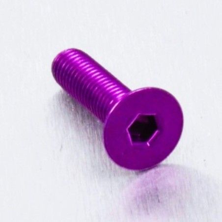 Tornillo de Aluminio Pro-bolt avellanado M5 x (0.8mm) x 20mm violeta LCS520P - motoscamaralweb.com