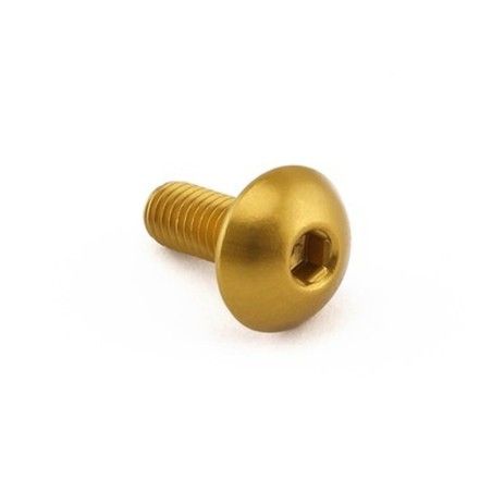 Tornillo de Aluminio Pro-bolt cabeza alomada M5 x (0.8mm) x 12mm oro LFB512G - motoscamaralweb.com