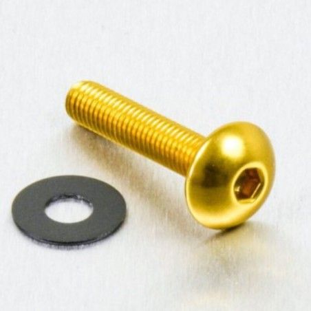 Tornillo de Aluminio Pro-bolt cabeza redondeada M5 x (0.8mm) x 20mm oro LFB520G - motoscamaralweb.com