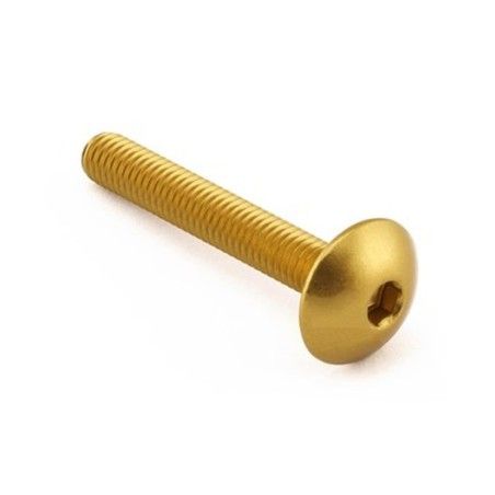 Tornillo Aluminio Pro-Bolt cabeza alomada M6 x (1.00mm) x 40mm LFB640G Oro - motoscamaralweb.com