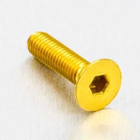 Tornillo de Aluminio Pro-bolt avellanado M5 x (0.8mm) x 20mm oro LCS520G - motoscamaralweb.com