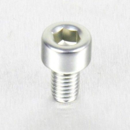 Tornillo de Aluminio Pro-bolt cabeza cilíndrica M5 x (0.8mm) x 8mm plata LPB508S - motoscamaralweb.com