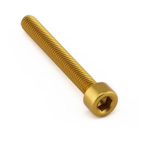 Tornillo Aluminio Pro-bolt cabeza cilíndrica M5 x (0.8mm) x 40mm LPB540G Oro - motoscamaralweb.com