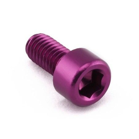 Tornillo de Aluminio Pro-bolt cabeza cilíndrica M6 x (1.0mm) x 12mm violeta LPB508P - motoscamaralweb.com
