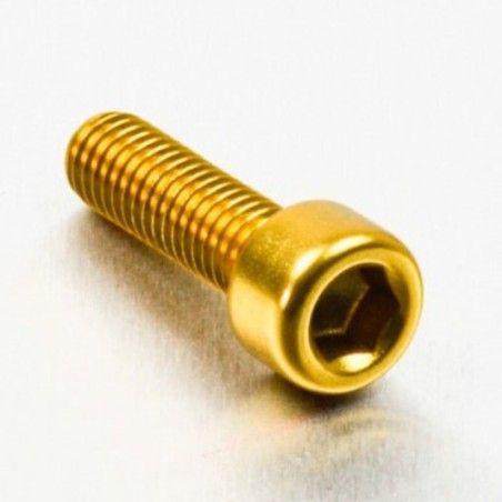 Tornillo de Aluminio Pro-bolt cabeza cilíndrica M6 x (1.00mm) x 20mm oro LPB620G - motoscamaralweb.com