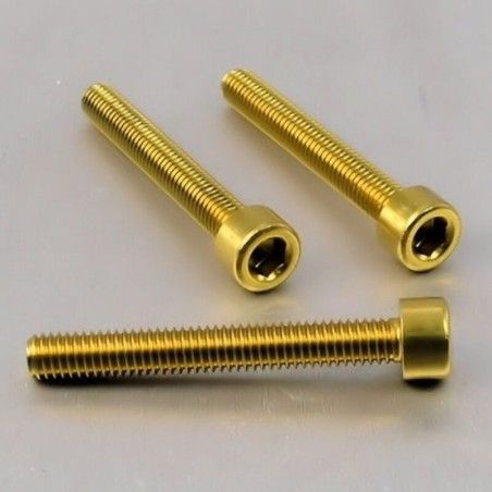 Tornillo de Aluminio Pro-bolt cabeza cilíndrica M6 x (1.00mm) x 45mm oro LPB645G - motoscamaralweb.com
