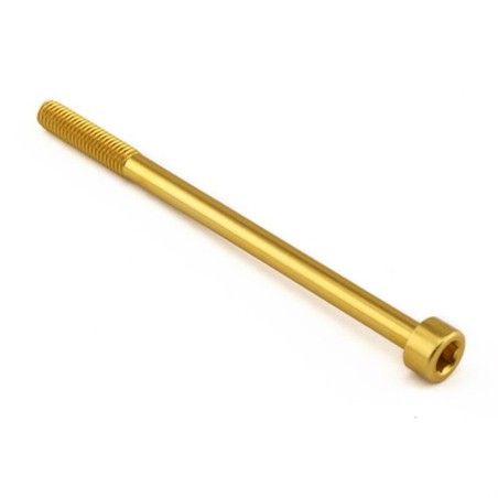 Tornillo Aluminio Pro-bolt cabeza cilíndrica M6 x (1.00mm) x 95mm LPB695G Oro - motoscamaralweb.com