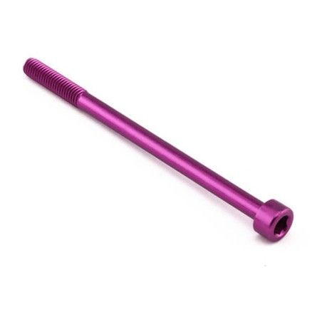 Tornillo Aluminio Pro-bolt cabeza cilíndrica M6 x (1.00mm) x 95mm LPB695P Violeta - motoscamaralweb.com