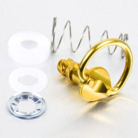 Tornillo rápido de Aluminio 1/4 de vuelta Pro-Bolt 17mm oro LQRCLIP17G - motoscamaralweb.com