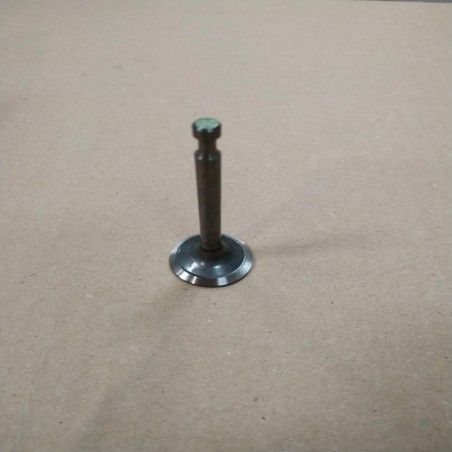 VALVULA ESCAPE DGR3200- motoscamaralweb.com