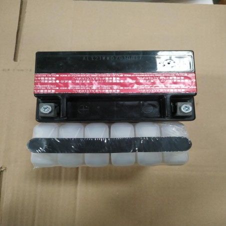 BATERIA DGR5500/7000 AE- motoscamaralweb.com