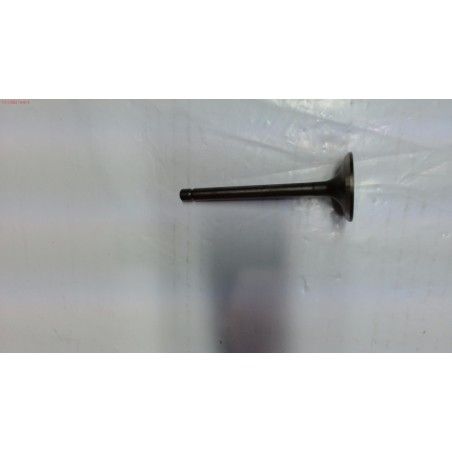 VALVULA ESCAPE DGR 7000AE- motoscamaralweb.com