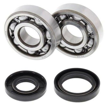 Kit rodamientos y retenes de cigüeñal ALL BALLS 24-1025 - motoscamaralweb.com