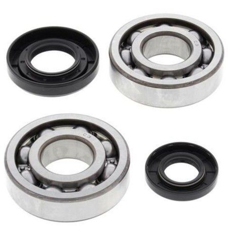 Kit rodamientos y retenes de cigüeñal ALL BALLS 24-1029 - motoscamaralweb.com