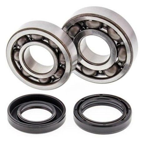 Kit rodamientos y retenes de cigüeñal ALL BALLS 24-1043 - motoscamaralweb.com