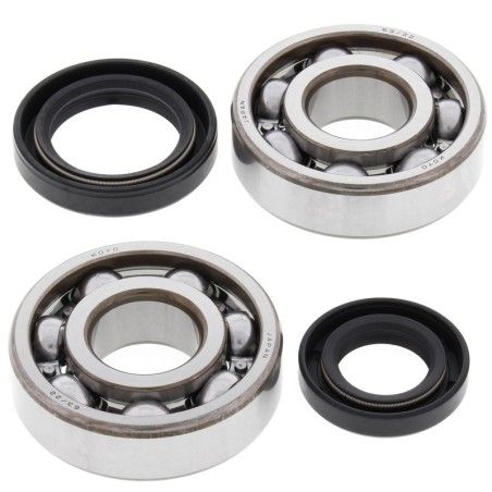 Kit rodamientos y retenes de cigüeñal ALL BALLS 24-1075 - motoscamaralweb.com