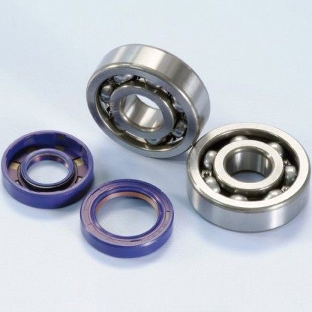 Kit rodamientos y retenes de cigüeñal POLINI motor Minarelli AM6 - motoscamaralweb.com