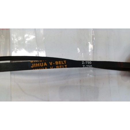 CORREA DLM4601 (Z-29 1/2)- motoscamaralweb.com