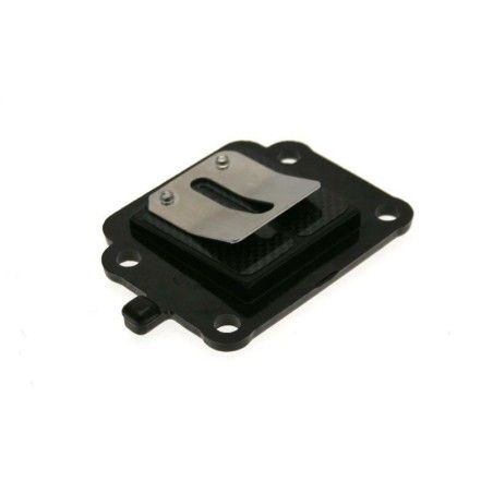 Caja láminas carbono B1 BOOSTER - motoscamaralweb.com