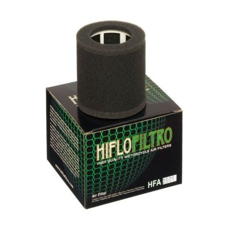 Filtro de aire HIFLOFILTRO - HFA2501 - motoscamaralweb.com