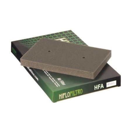 Filtro de aire HIFLOFILTRO - HFA2505 - motoscamaralweb.com