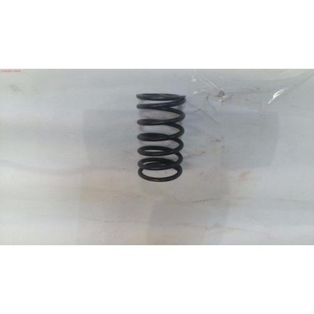 MUELLE VALVULA DLM5301- motoscamaralweb.com