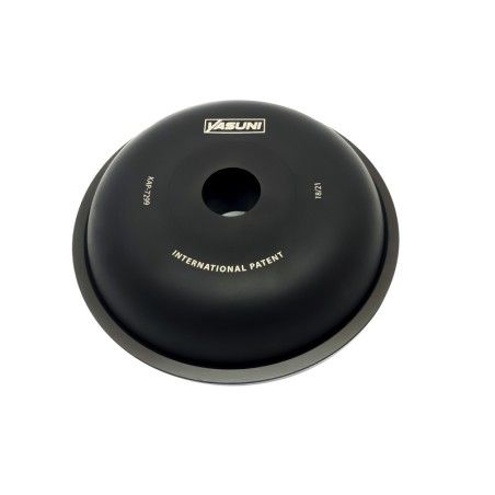 Variador Yasuni Axial 2T Motor Peugeot- motoscamaralweb.com