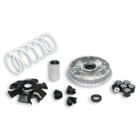 Variador Multivar Malossi SUZ. BURGMAN/EPICURO 125 SIXTEEN 125 5111324 - motoscamaralweb.com