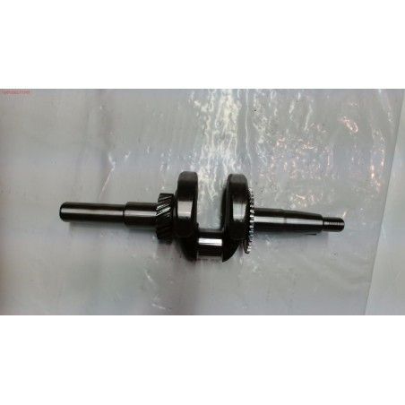 CIGÜEÑAL DPW3100G- motoscamaralweb.com