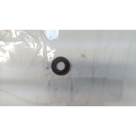 VALVULA COMPLETA 2 PULVERIZADOR DUCATI DSP2500 20L AE1- motoscamaralwe