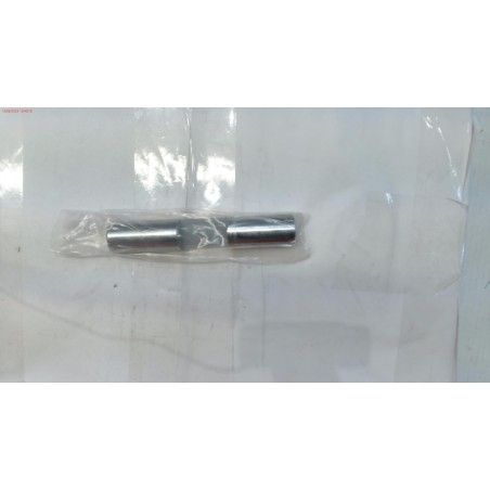 PISTON PULVERIZADOR DUCATI DSP2500 15/20L AE1- motoscamaralweb.com