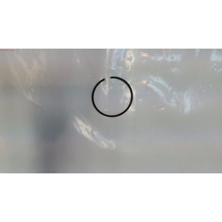 SEGMENTO PULVERIZADOR DUCATI DSP2500 20L E1- motoscamaralweb.com